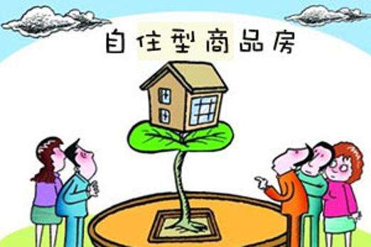 最新购房政策解读，拥抱变化，迈向梦想家园的励志之旅