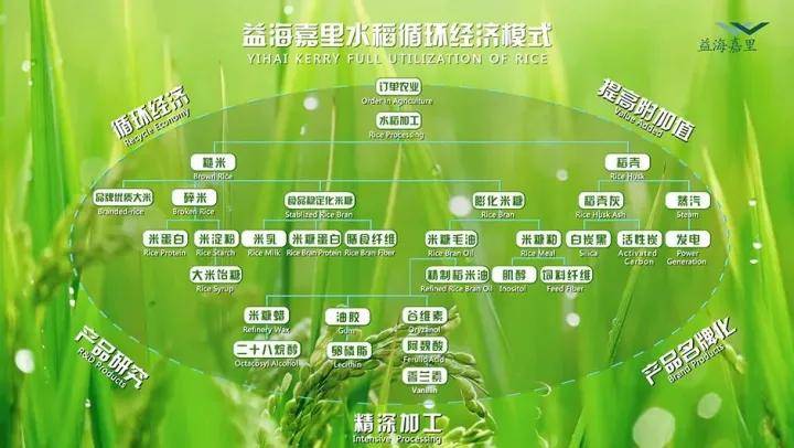 资深律师 第5页