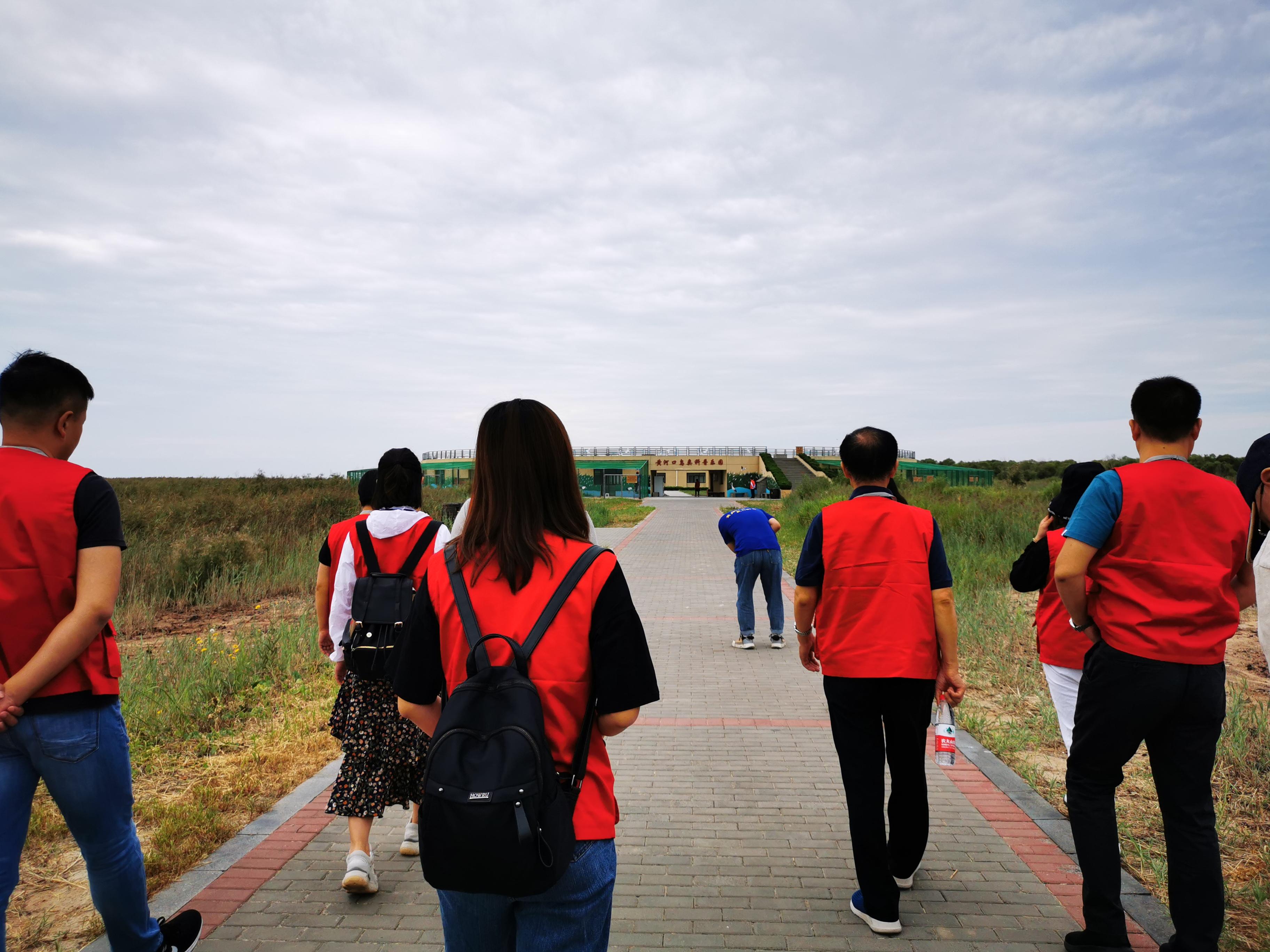 石油新闻最新动态，心灵之旅探寻石油与自然和谐共存之道