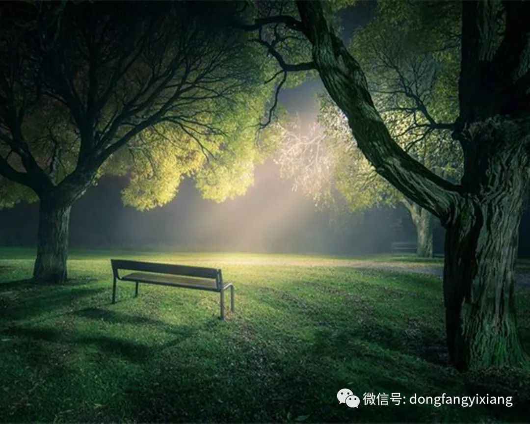 最新散文，与自然美景的邂逅，探寻内心宁静之乐